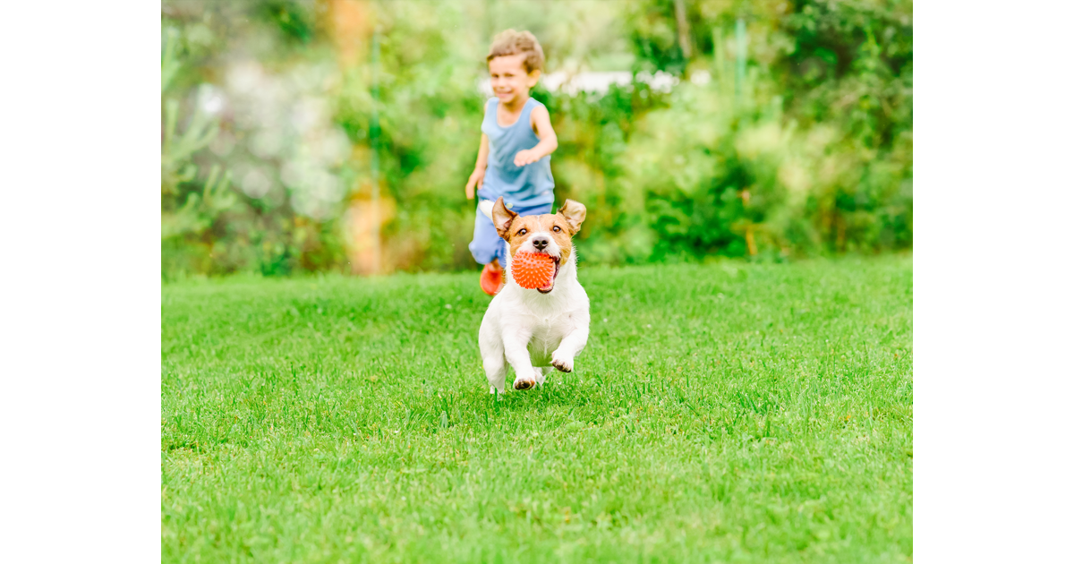 Дети играют. Салочки игра. Игра стулья для детей. Playing chase. Салки игра для детей.