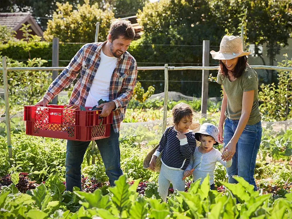 Familie moestuin groeten