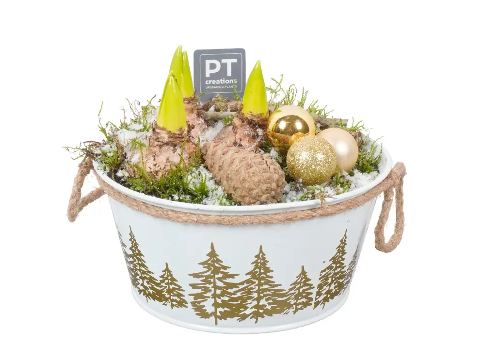 Wit hyacint bloemstuk met kerstballen