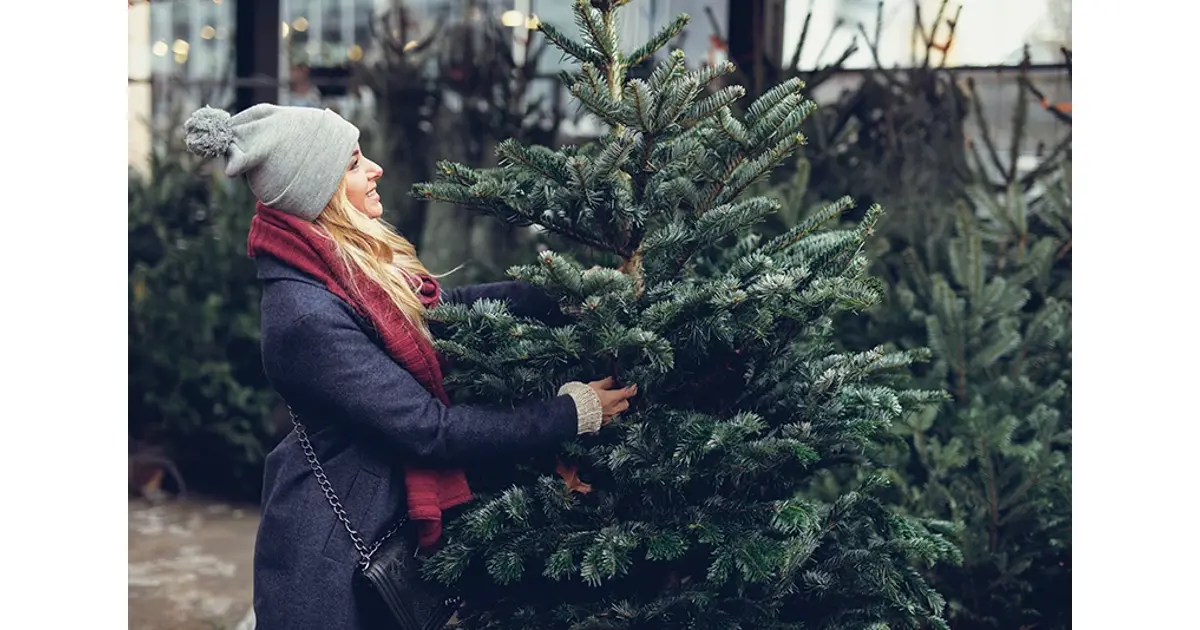 Ja Edele verhaal kerstbomen kopen - Floralux