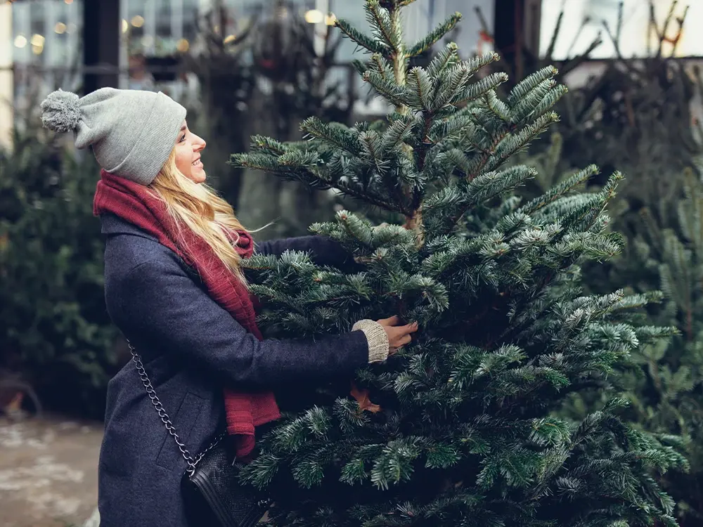 koffie tempo achter kerstbomen kopen - Floralux