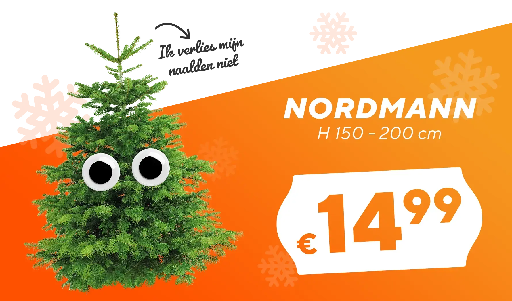 Nordmann kerstboom H 200 cm voor €14,99