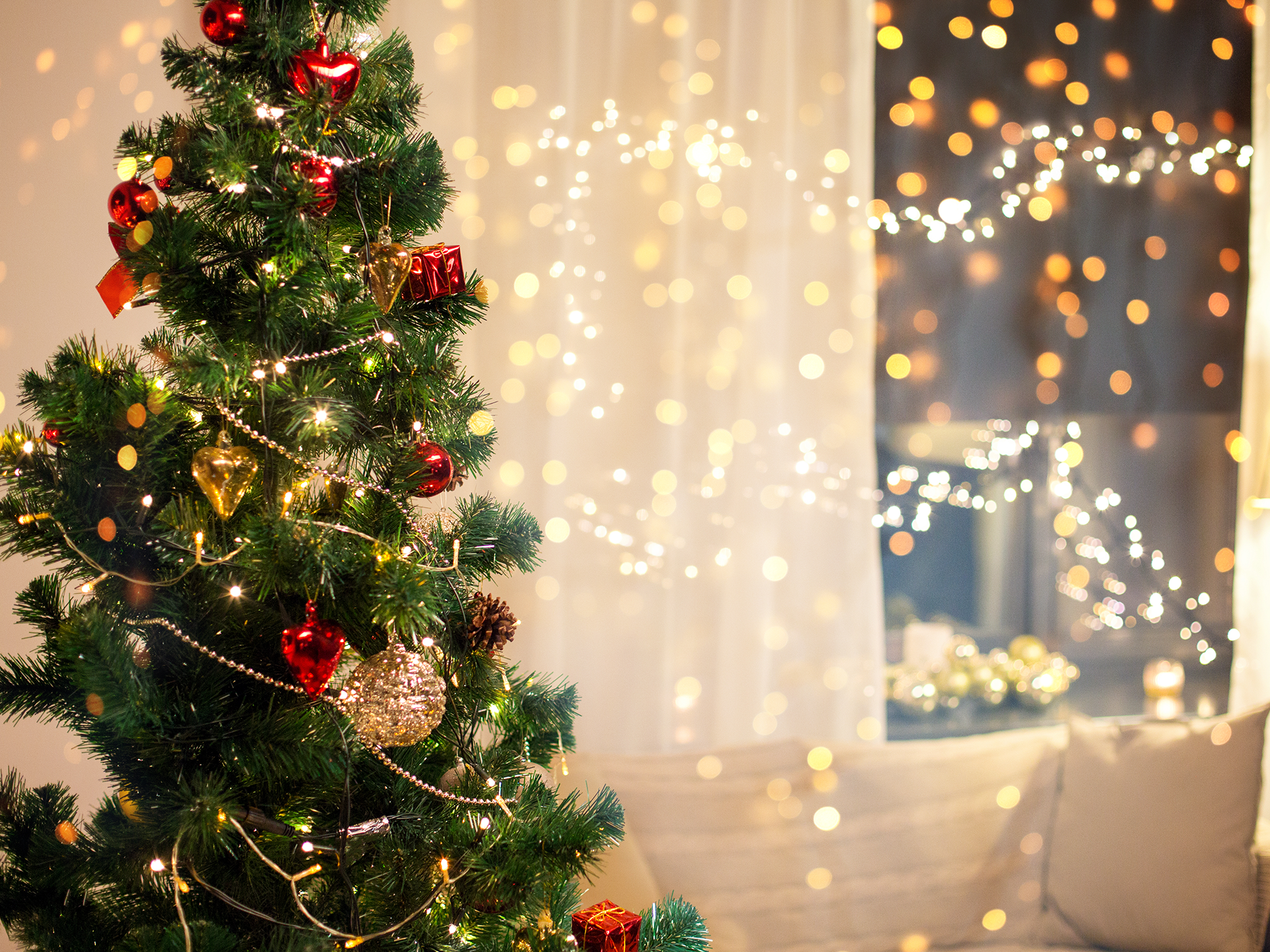 Huiswerk maken personeel mei een kerstboom versieren - Floralux