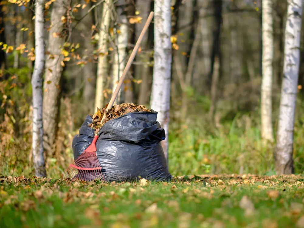 Bladcompost maken