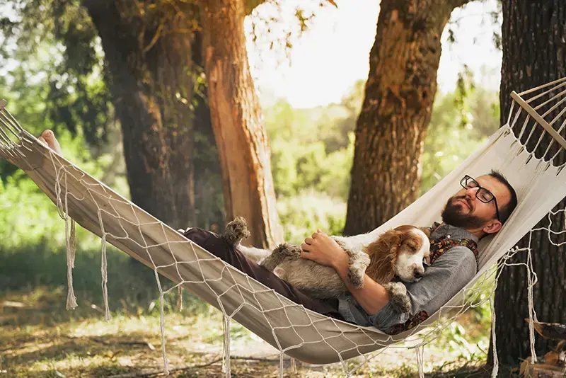 Man rust met hond in een hangmat onder bomen