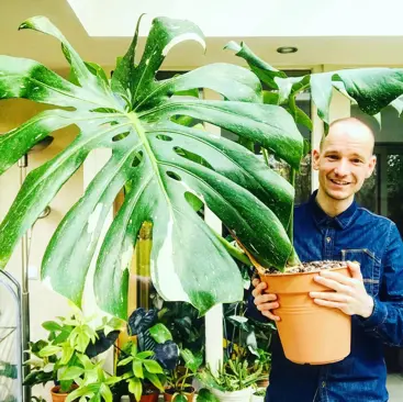 Matthias Fouquaert planten