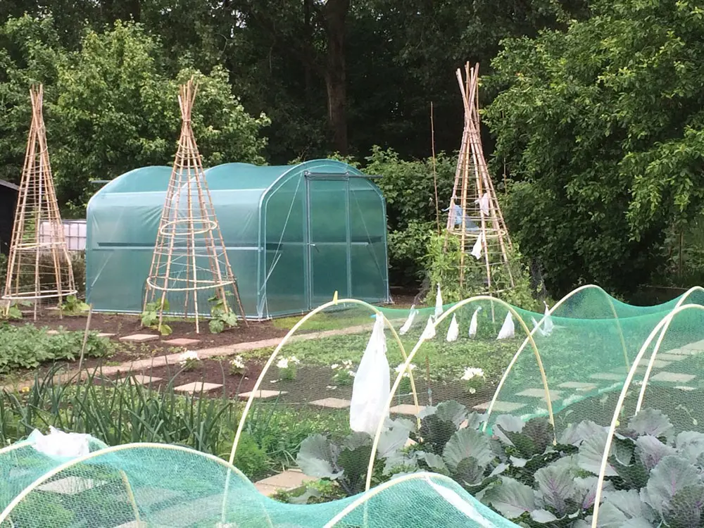 Acheter la serre tunnel Splendid 9 m² - commander une serre Filclair-1