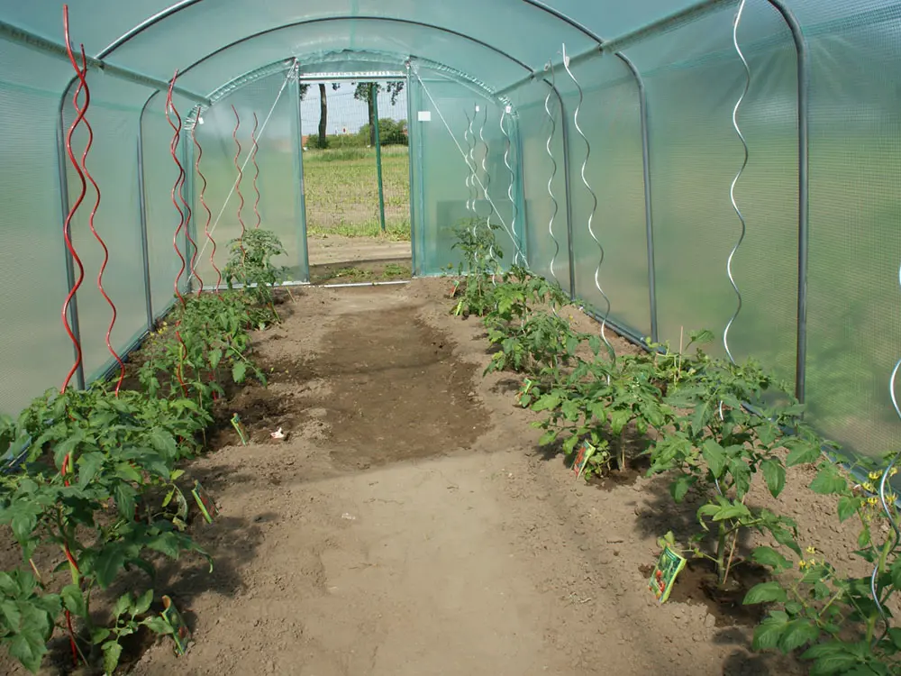 Acheter serre tunnel Splendid 18 m² - offre serre tunnel-3