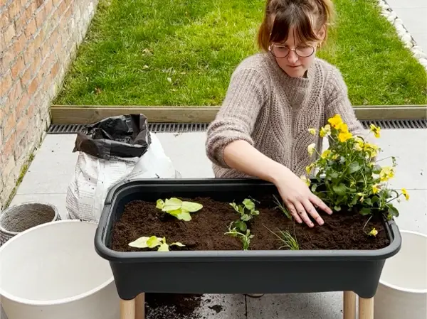 moestuinbak-planten