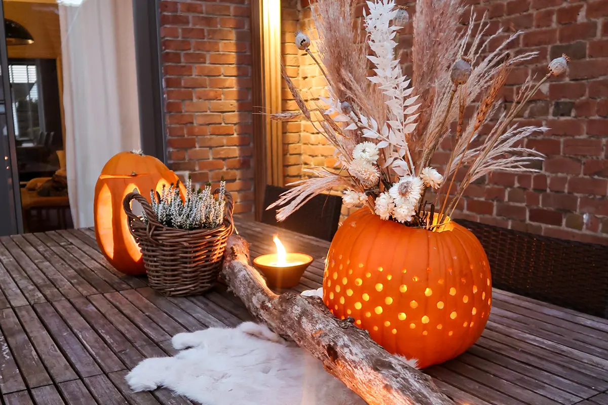 Halloween : gardez les graines de citrouille pour les oiseaux des jardins