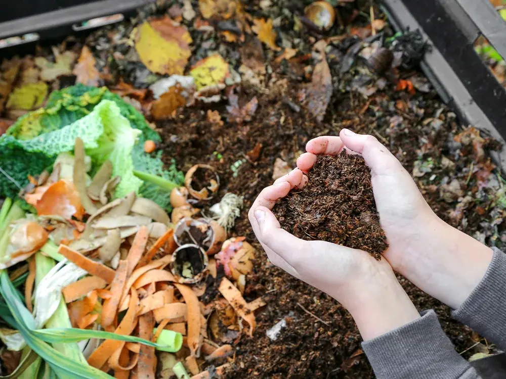  Bacs À Compost De Jardin - Bacs À Compost De Jardin / Composts  Et Déchets De Jar : Jardin
