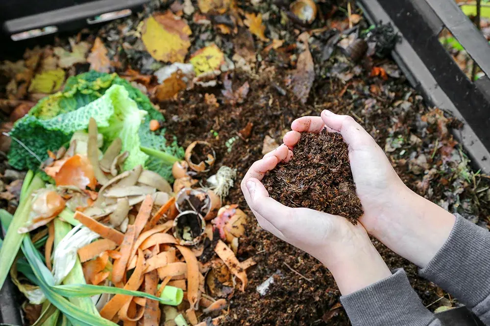 composteren compostbak