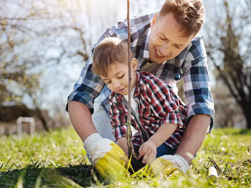 Papa en zoon planten een boom